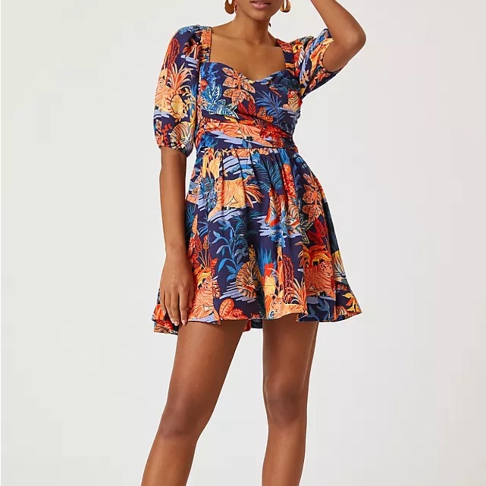 Anthropologie Tiger Dress